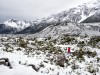 On the Hooker Valley Trail New Zealand